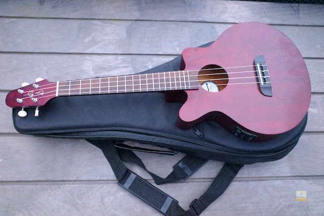 Brian May Guitars BMG Tenor Uke - Ukulele REVIEW