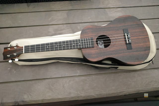 Tanglewood Tiare TWT 20 Baritone Ukulele - REVIEW