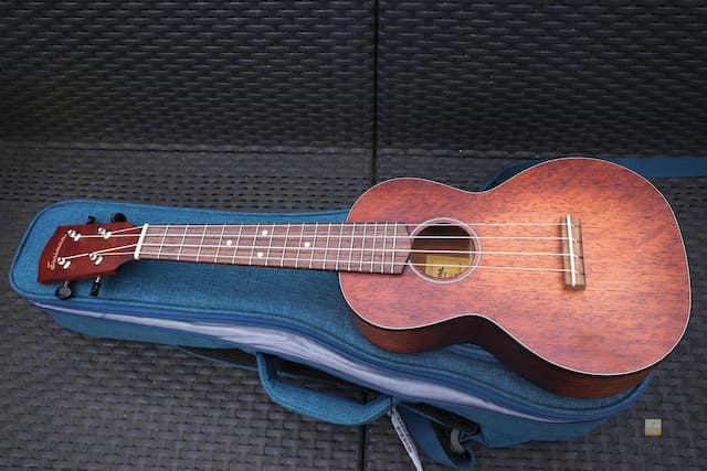 Eastman EU1-C Concert Ukulele - REVIEW