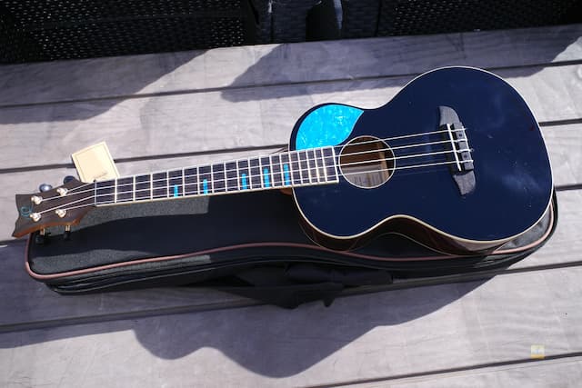 Ortega RUGH-BKT Ghost Series Tenor Ukulele - REVIEW