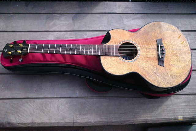 Flight Maia EQ-A Steel Strung Baritone Ukulele - REVIEW