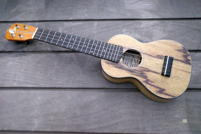 LoPrinzi Long Neck Soprano Ukulele - REVIEW