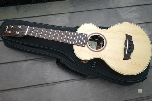 Noah Delta Concert Ukulele - REVIEW